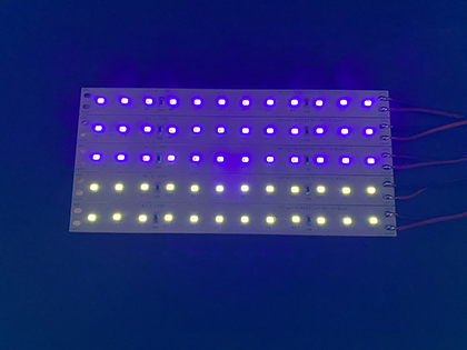 DC24V UV紫外LED诱虫灯条