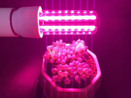 LED大棚蔬果植物生长灯