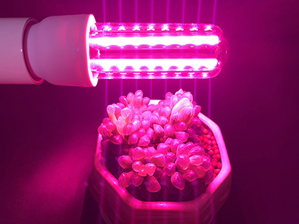 LED Plant Grow Light