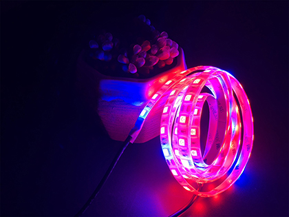 14.4W LED植物生长灯条