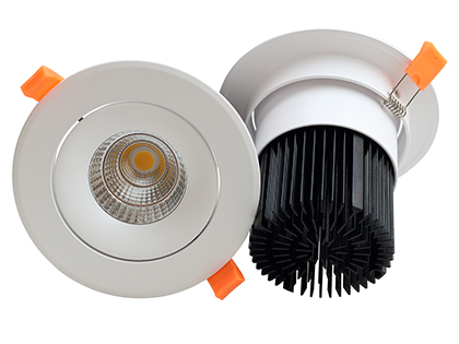 30W LED Ceiling Light