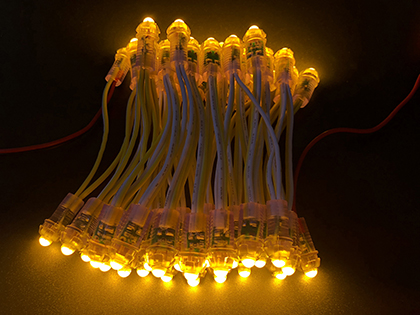 12V Exposed LED String