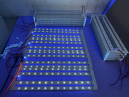 DC24V CC UV LED Strip